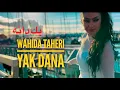 Download Lagu Wahida Taheri [ YAK DANA -  یك دانه ] New Official Video 2024 #newafghansongs #آهنگ_افغانی