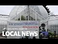 See What Is In Store For The Renovation Of The Seymour Conservatory In Wright Park