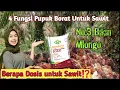 Lagu PUPUK BORAT UNTUK KELAPA SAWIT || EMPAT MACAM FUNGSINYA DAN DOSIS BORAT UNTUK SAWIT