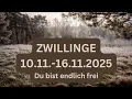 ZWILLINGE ♊️ 10.11.-16.11.2025• Du bist endlich frei 