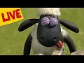 LIVE ๐จ New Full Episodes | Shaun the Sheep, Kids Cartoons | Preschool Fun