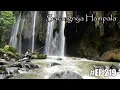 Download Lagu 🔴Mancing Hampala Di Air Terjun Purba Tirai Bidadari,,,#EF-219