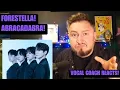Download Lagu Zangcoach reageert! Forestella! Abracadabra!