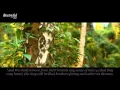 Download Lagu NEW  beautiful Quran recitation  heart soothing voice