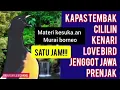 Lagu Masteran MURAI BORNEO ISIAN TERLengkap||Masteran Terbaik Burung Lomba