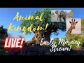 Download Lagu 🔴LIVE: Disney’s Animal Kingdom | Disney World Livestream | 7/6/2025
