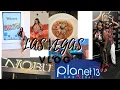 LAS VEGAS VLOG 2022 PLANET 13 DRAIS BEACH CLUB POOL PARTY COOKIES NOBU BAECATION DRAIS