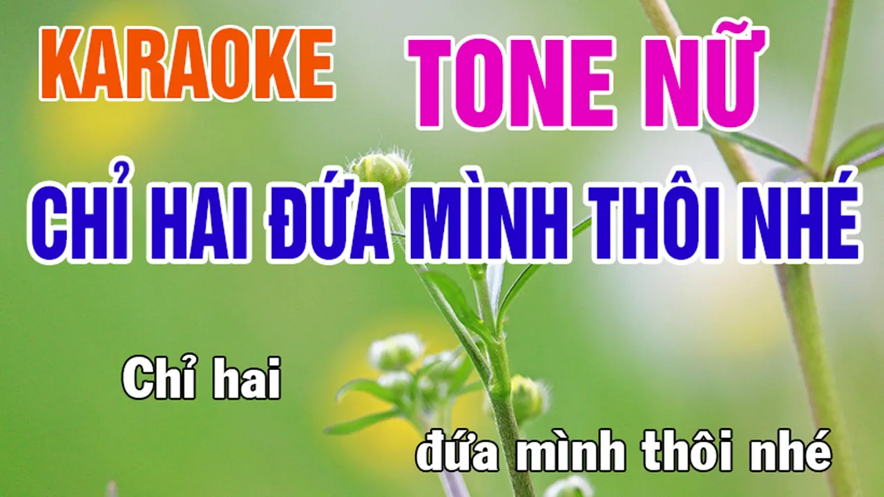 Chỉ Hai Đứa Mình Thôi Nhé❤️ Tiểu Long Nữ 