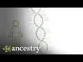 How Accurate are my AncestryDNA Results Ancestry