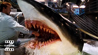 deep blue sea jim gets bit clipzone high octane hits