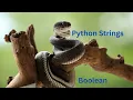 Introductory Python - String functions and Boolean data type