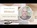Sherwin Williams Whitetail Paint Color Review