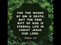 Romans 6 NLT