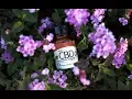 cbd oil sleep reddit