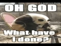 4Chan Gifs 9
