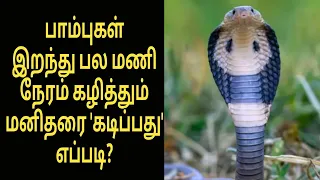 பாம்புகள் இறந்து பல மணி நேரம் கழித்தும் மனிதரை 'கடிப்பது' எப்படி? | Tamil Viral Video | Tamil
