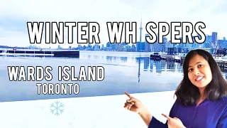 Discover Wards Island s Winter Symphony Toronto Islands in Canada