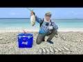 Download Lagu CATCH AND COOK !! CASTING KARANG DANGKAL BANYAK STRIKE, MANCING PINGGIRAN