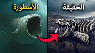                                            دندنها