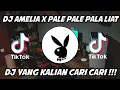 DJ AMELIA X PALE PALE PALA LIAT VIRAL TIKTOK 2022
