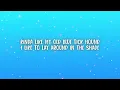 The Charlie Daniels Band - Long Haired Country Boy (Lyrics)