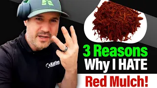 3 Reasons Why I HATE Red Mulch Never A Good Landscaping Idea