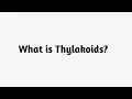 What is Thylakoids