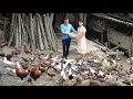 Download Lagu Robert nam Mai mee de berg op om zijn boerderij te bezoeken. Groen bosleven