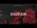 Download Lagu Nino Bravo - Un Beso Y Una Flor (Letra)
