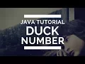 JAVA program on Duck Number TUTORIAL