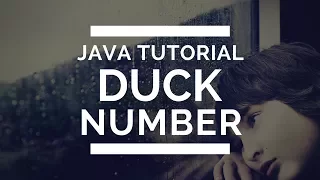 JAVA program on Duck Number TUTORIAL