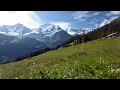 Switzerland s Jungfrau Region Best of the Alps