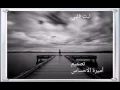 شيلة  ليت قلبي