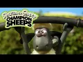 Download Lagu Weightlifting 🏋️ Championsheeps 🐑 Shaun the Sheep #sport #ShaunTheSheep