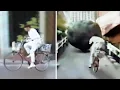 Download Lagu Funniest Japanese Pranks Compilation! LOL - Part 5