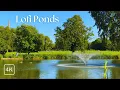 Download Lagu Lofi relaxing music for stress relief