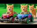 Lagu Kittens Drive Demon Monster Cars 🚓 on a Revenge Mission to Rescue Mama Cat from a Bully💥🐱