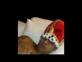 Novato el Flow - Chichologia Prod. Fuentes Prod (DEMO)