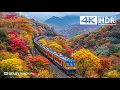 Download Lagu The Real 4K HDR 60FPS Dolby Vision (4K Video ULTRA HD)