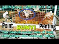 Download Lagu Cara Memilih Perkutut Ombyokan || Point Penting