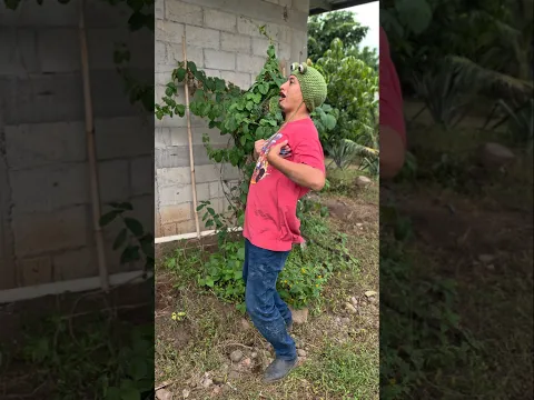 Las HORMIGAS FURIOSAS 😱 #shorts #viralvideo