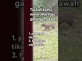 Download Lagu manfaat garangan sawah