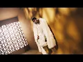 Download Lagu Harmonize - Ujana (Official Music Video)