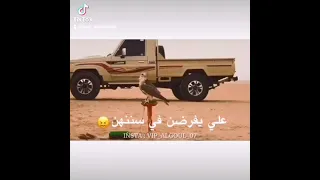 كنهن معاي ليام كنهن بوستة 