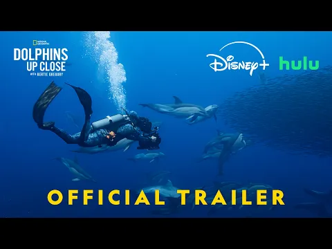 Video Thumbnail: Dolphins Up Close with Bertie Gregory | Official Trailer | National Geographic