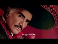 Vicente Fernández - Un Millón de Primaveras (Letra)