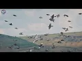 417 Hz Morning Cortisol Flush 🌿 Dissolve Stress Hormones with Birdsong • Meditation Music