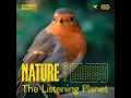 Birds of Papua New Guinea - NATURE & The Listening Planet