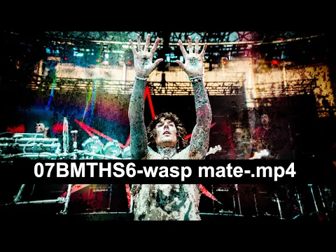 Download MP3 Bring Me The Horizon - 07BMTHS6-wasp mate-.mp4