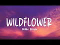 Download Lagu Billie Eilish - WILDFLOWER (Lyrics)